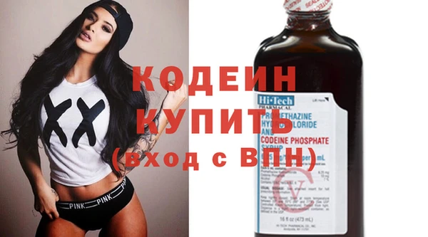 молекула духа Богданович
